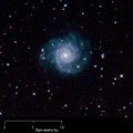 Галактика М74 — Мессье 74