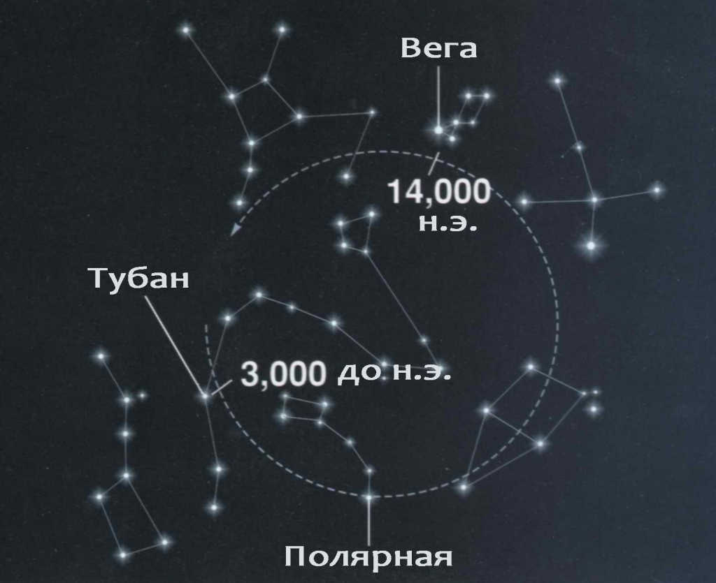 Полярная звезда в каком созвездии находится фото
