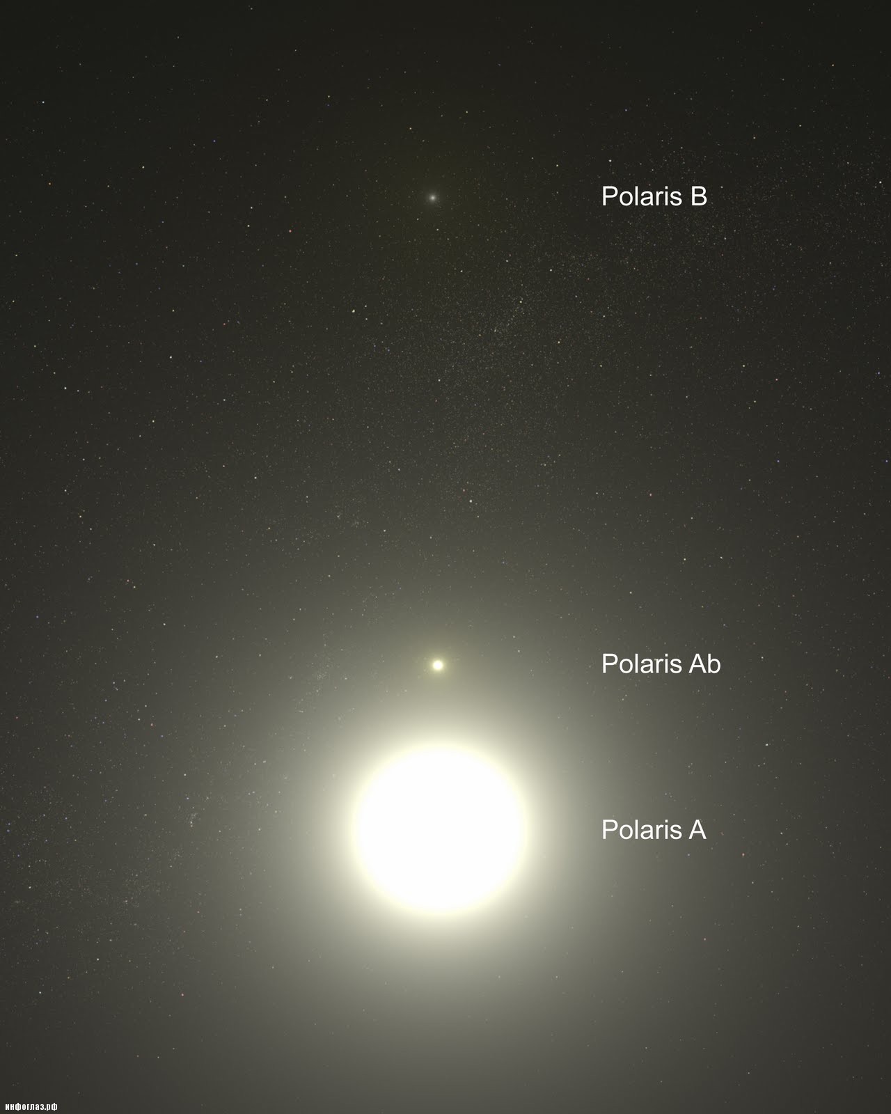 Система Полярной звезды