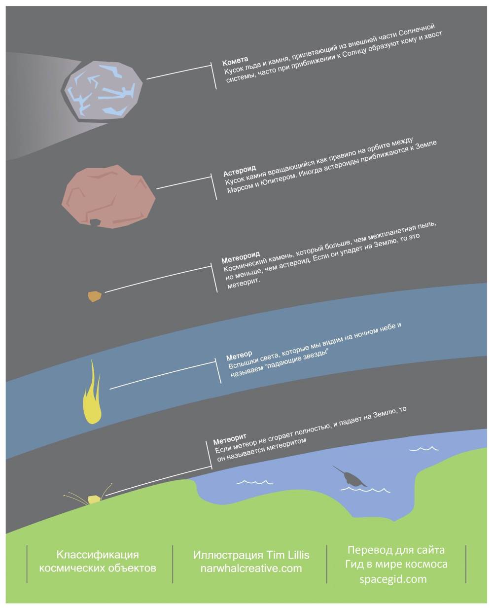 Схема отличия кометы от астероида или метеорита