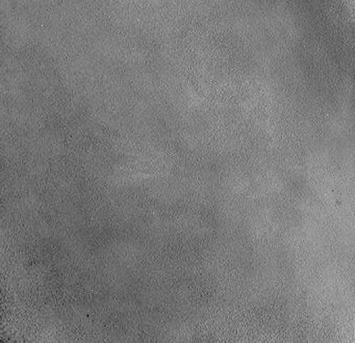Анимация движения облаков в атмосфере, полученная зондом Curiosity