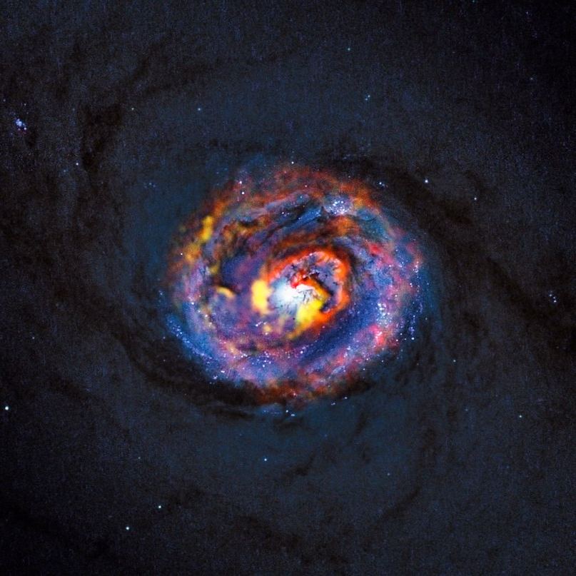 Композитный вид галактики NGC 1433 с черной дырой в центре