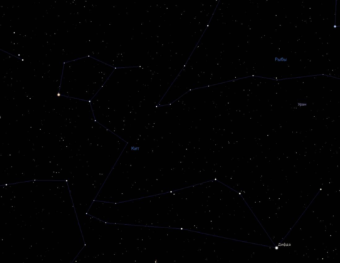Скриншот созвездия Кит из программы-планетария