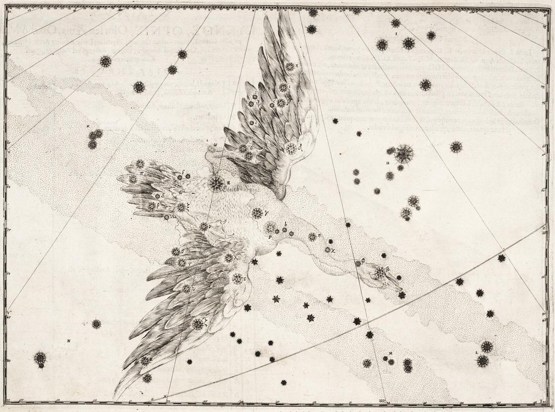 Созвездие Лебедя из атласа Иоганна Байера "Уранометрия" 1603 год