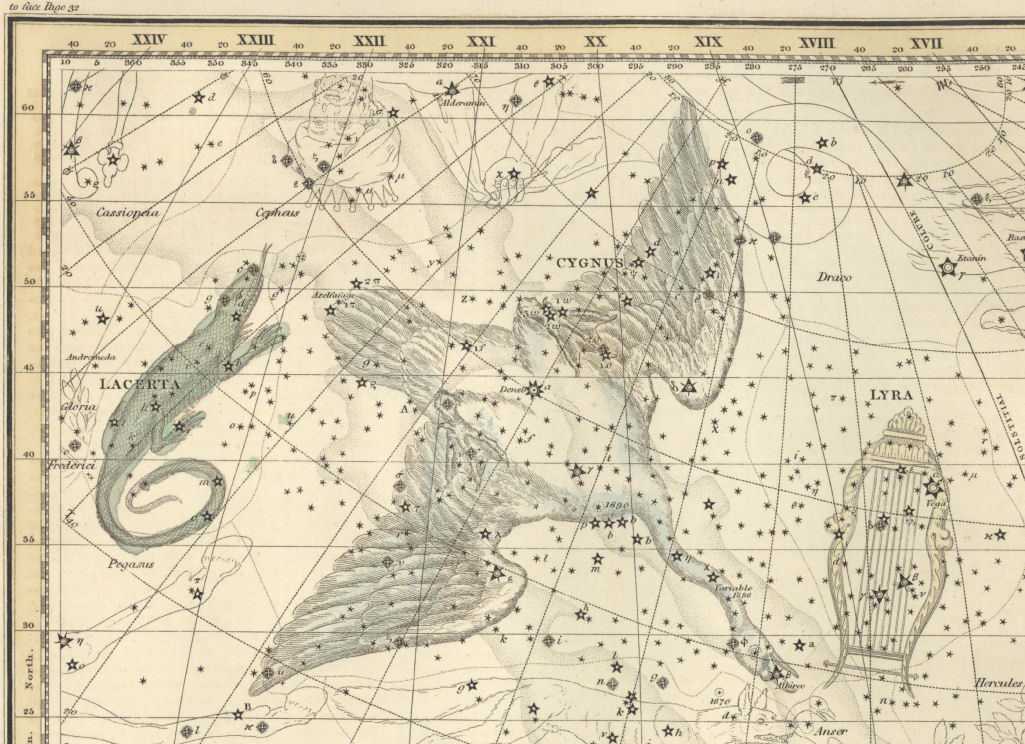Рисунок Лебедя из старинного атласа звездного неба