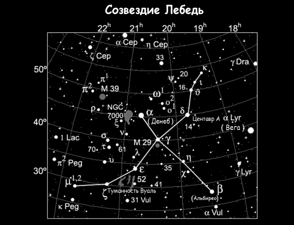 Созвездие лебедь фото