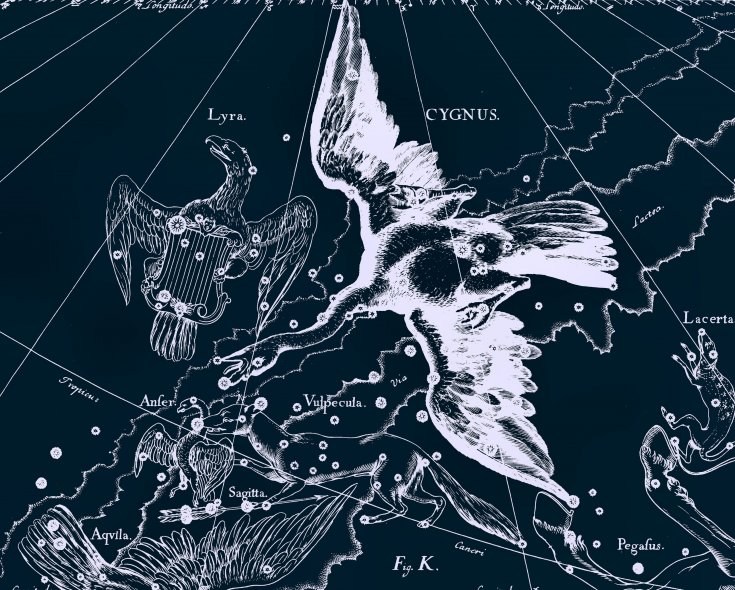 Созвездие Лиры и Лебедя, рисунок из древнего атласа звездного неба Яна Гевелия
