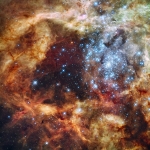 R136 — компактное звёздное скопление, которое находится в центре туманности «Тарантул»