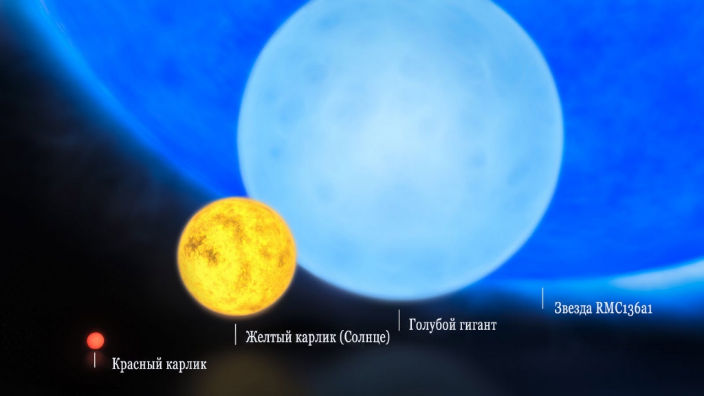 Красный карлик, звезда класса Солнца, голубой гигант и R136a1