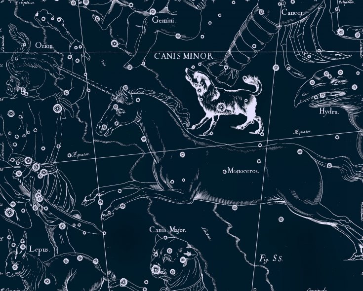 Малый Пёс, рисунок Яна Гевелия из его атласа созвездий