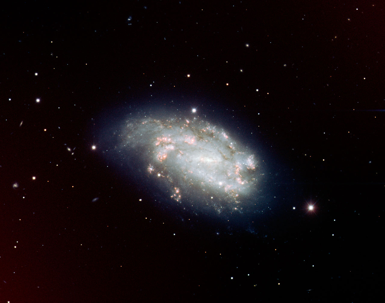 NGC 1559