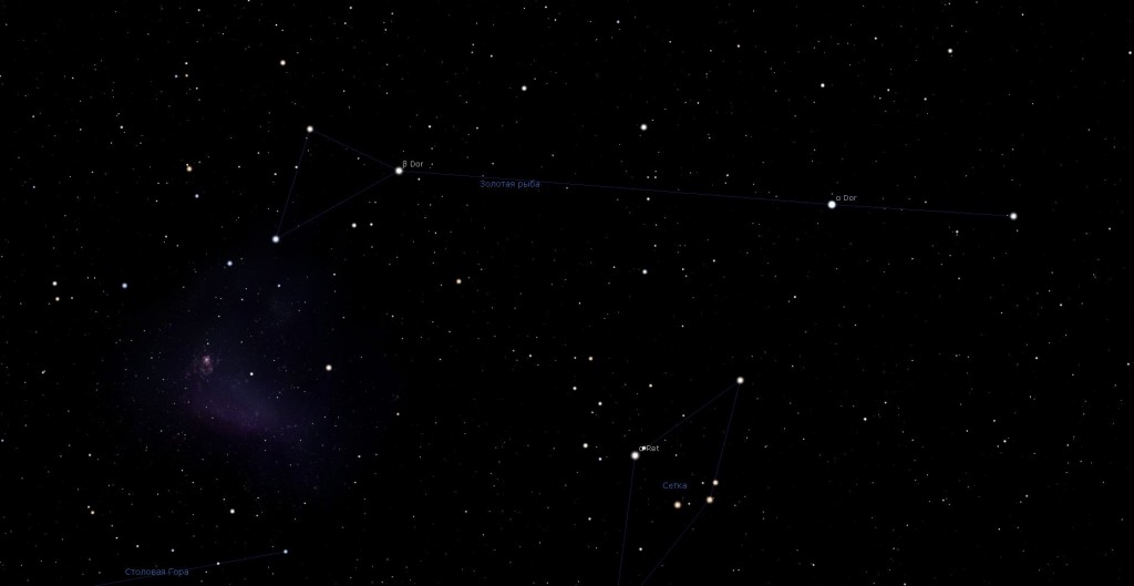 Созвездие Золотая рыба, вид в программу планетарий Stellarium