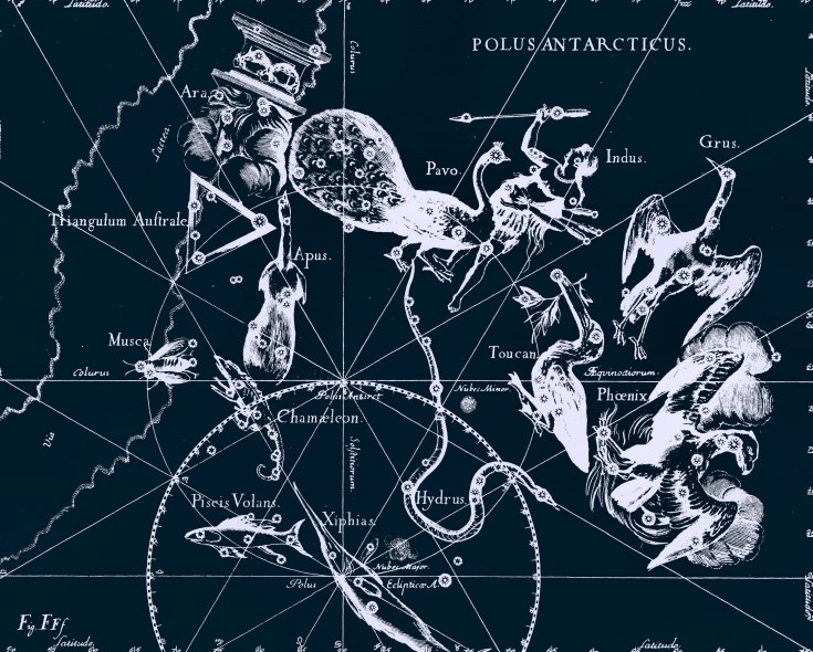 Созвездие Райская Птица (Apus), рисунок Яна Гевелия из его атласа созвездий