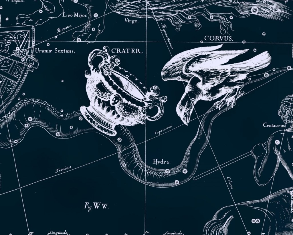 Ворон, рисунок Яна Гевелия из его атласа созвездий