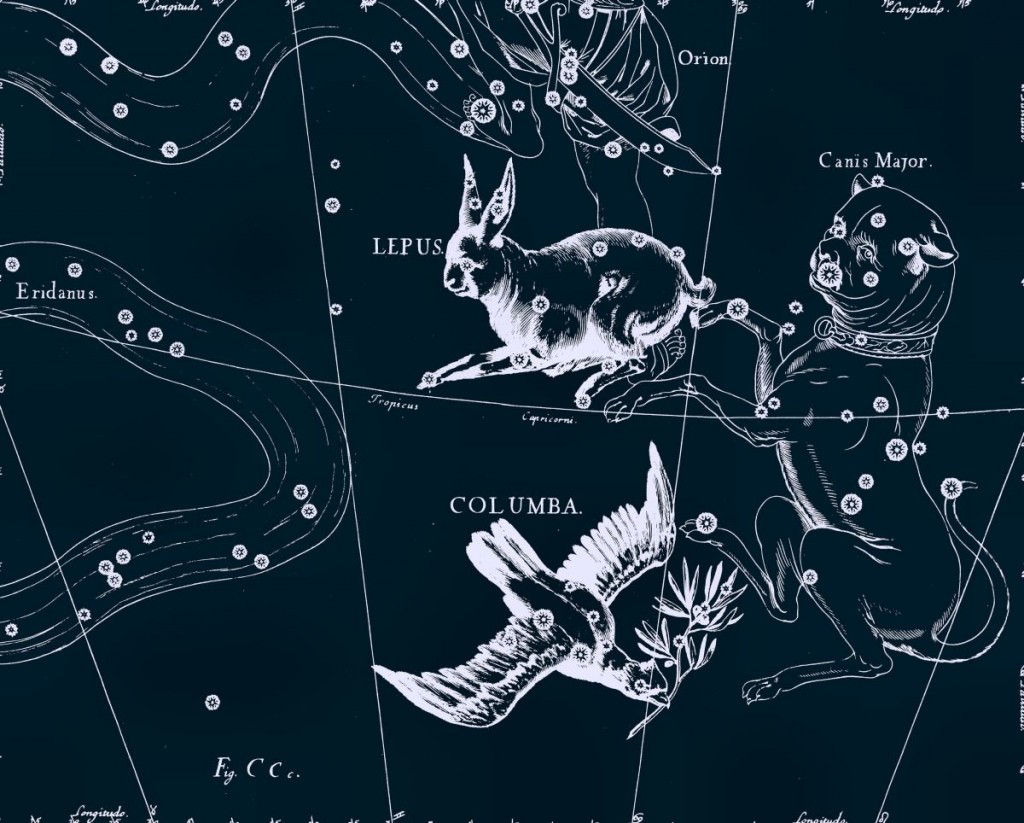 Голубь, рисунок Яна Гевелия из его атласа созвездий