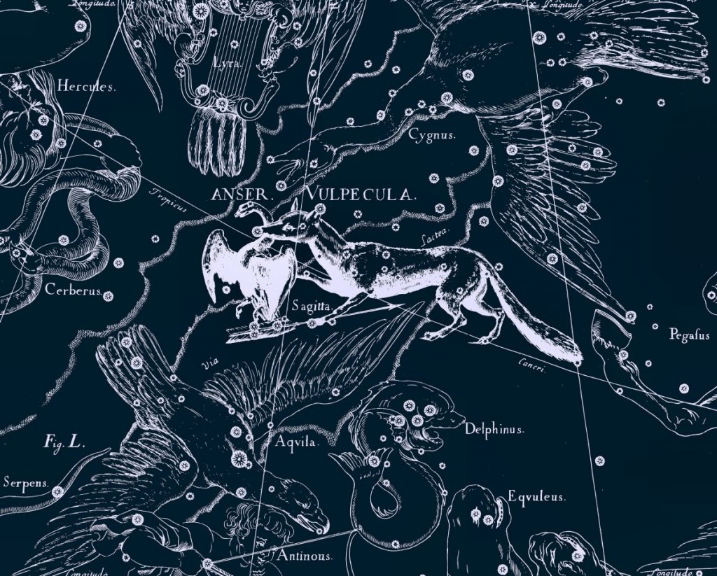 Лисичка, рисунок Яна Гевелия из его атласа созвездий