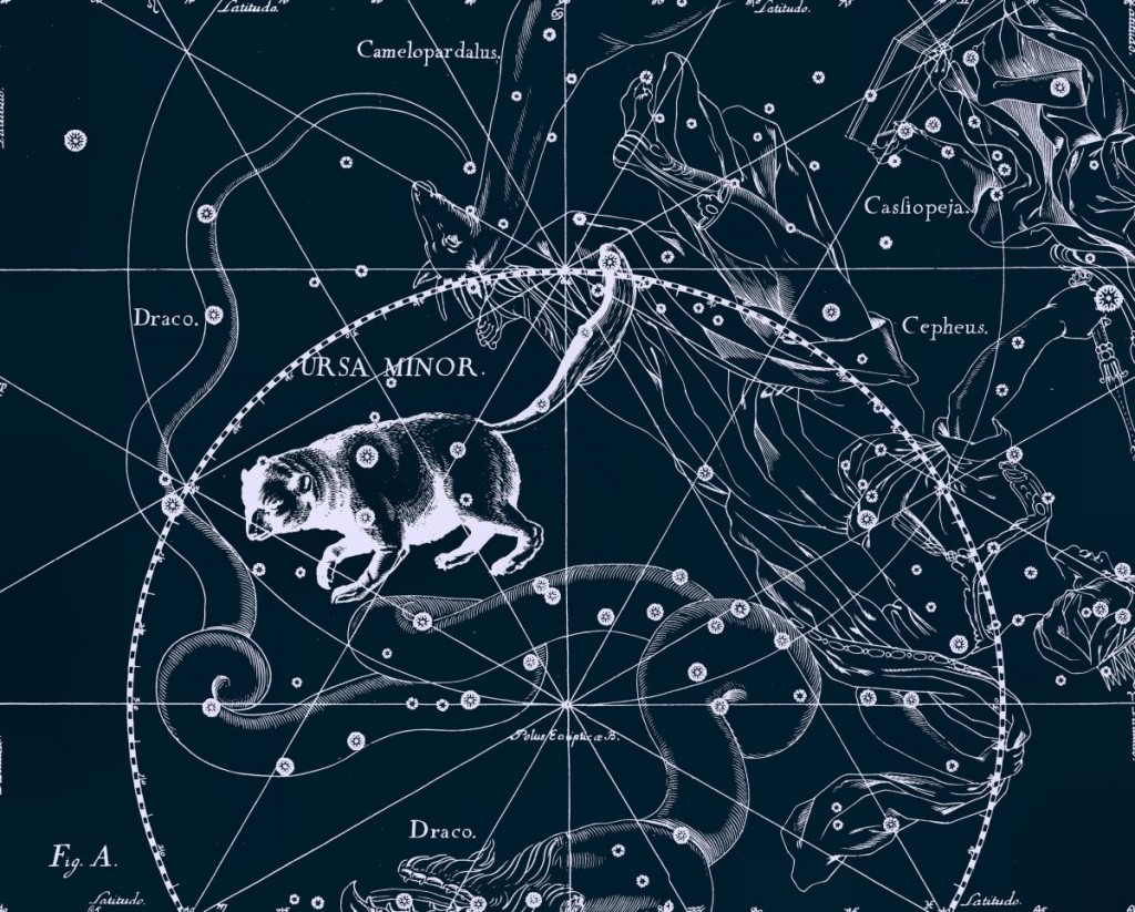 Малая Медведица, рисунок Яна Гевелия из его атласа созвездий