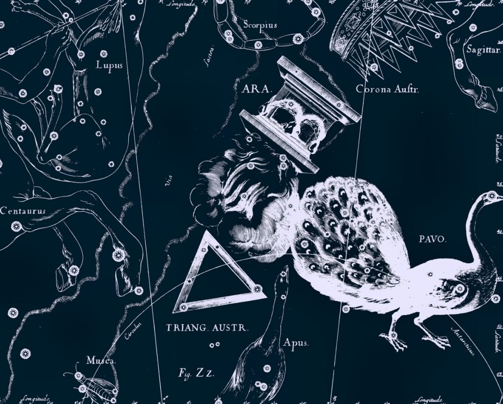 Павлин, рисунок Яна Гевелия из его атласа созвездий