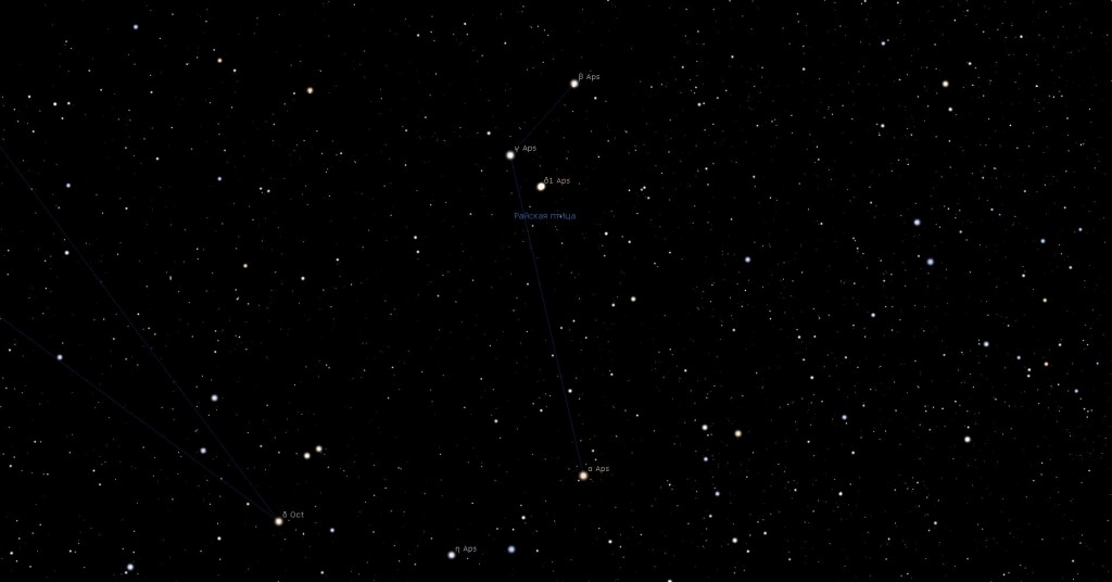 Созвездие Райская Птица, вид в программу планетарий Stellarium