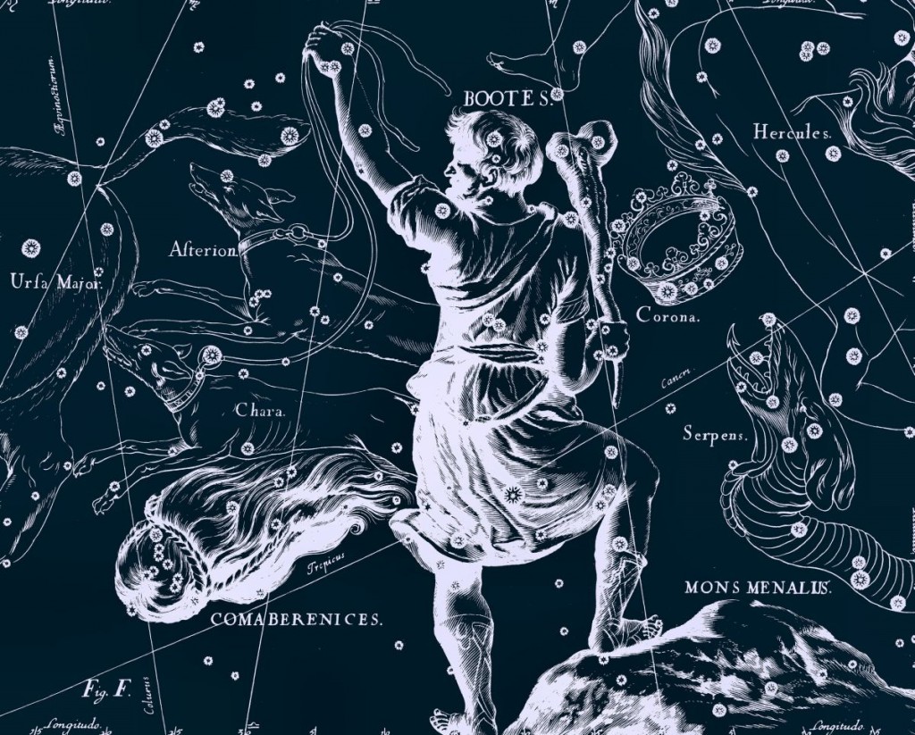 Созвездие Волопас, рисунок Яна Гевелия