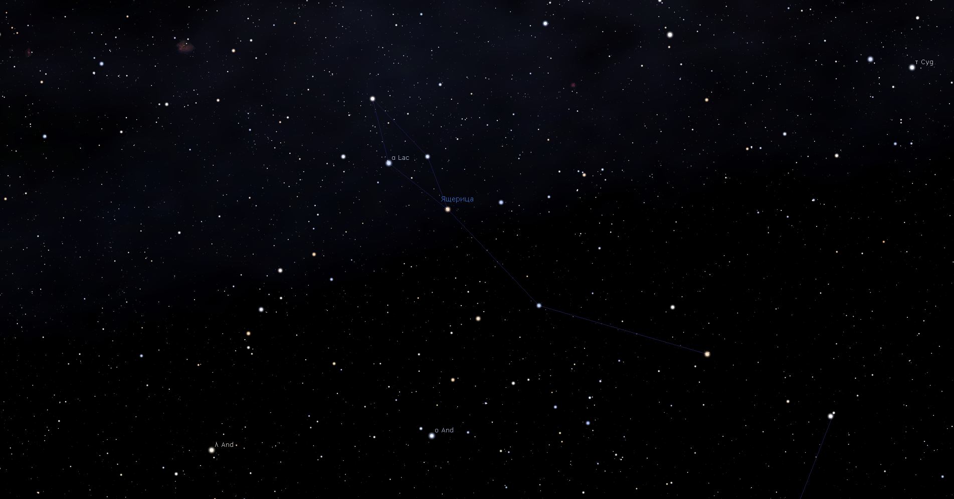 Созвездие Ящерица, вид в программу планетарий Stellarium