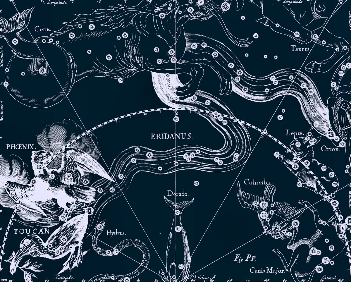 Тукан, рисунок Яна Гевелия из его атласа созвездий