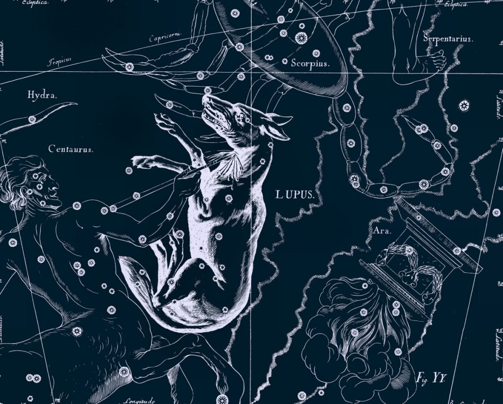 Волк, рисунок Яна Гевелия из его атласа созвездий