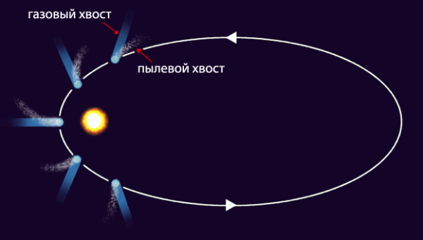 Как по расположению хвоста кометы на фотографии можно узнать положение солнца