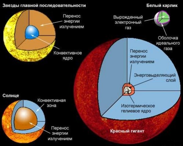 Строение звезды картинка