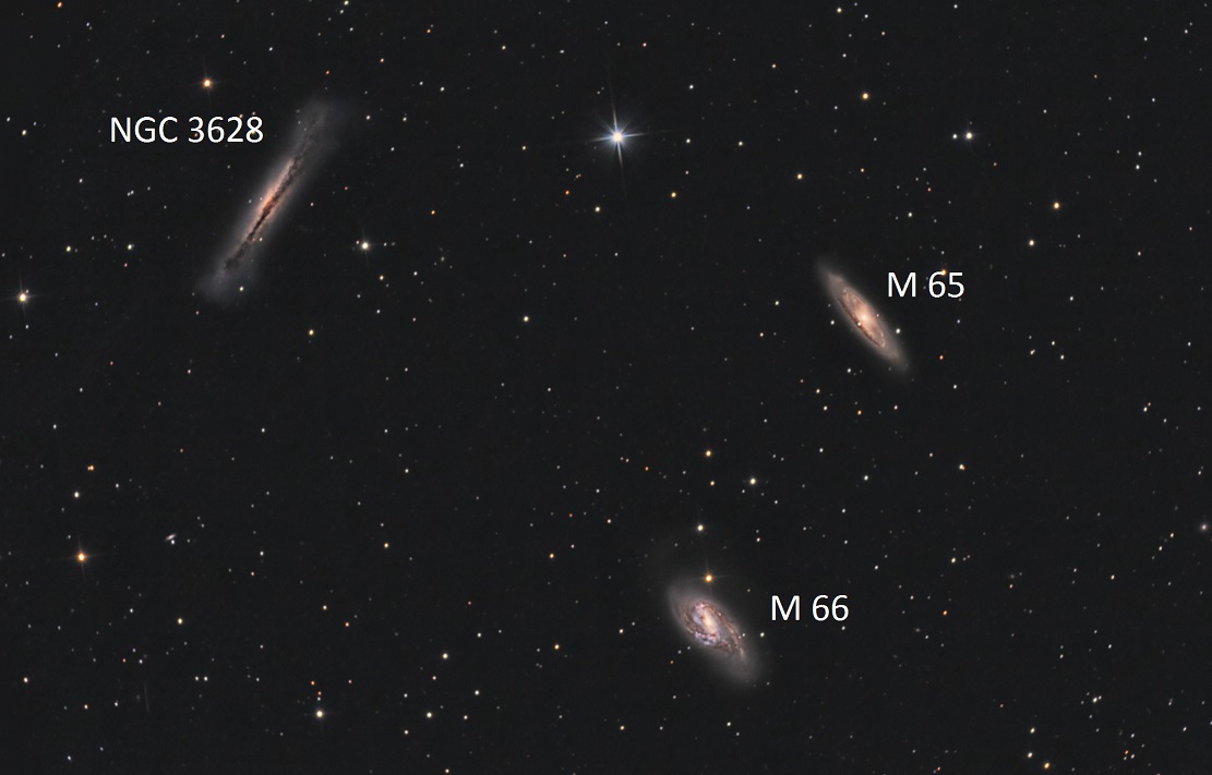 Триплет Льва: M 65, M66 и NGC3628