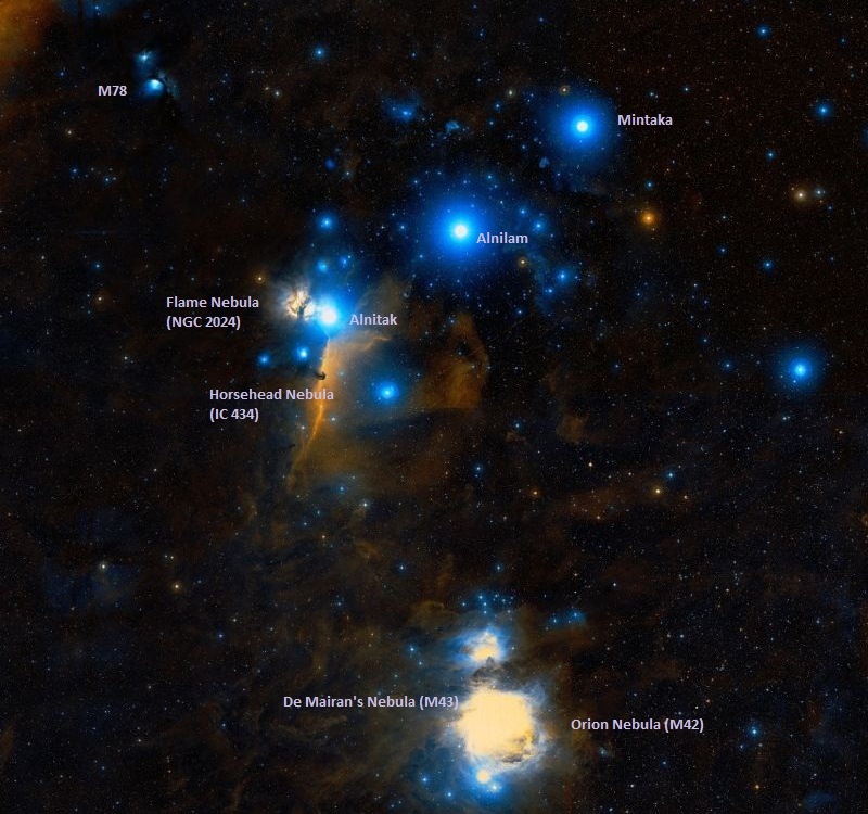 Соседи туманности Мессье 78 (сверху вниз): туманность Пламя, Конская Голова, де Мерана, Ориона