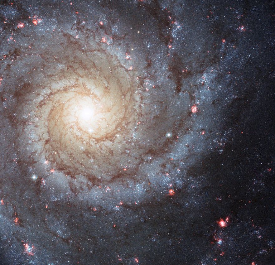Галактика M74 (фотография с телескопа Хаббл)