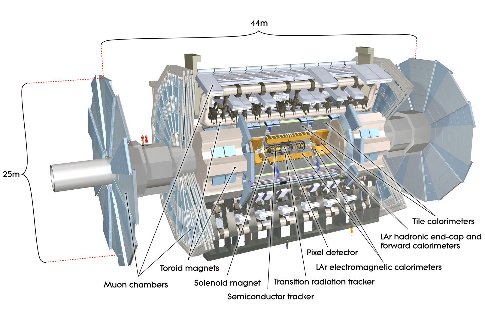 Детектор ATLAS и его компоненты