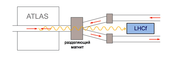 Схема расположения детекторов эксперимента LHCf