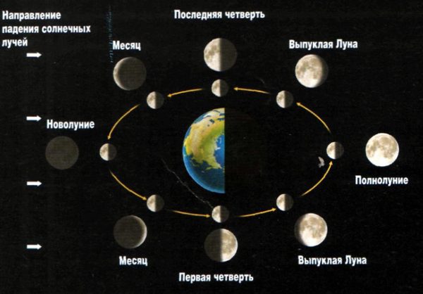 Какая вчера была луна фото