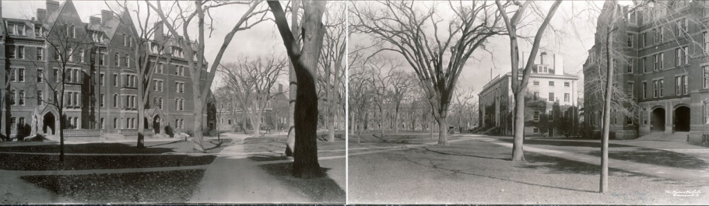 Панорама Гарвардского университета. Около 1910