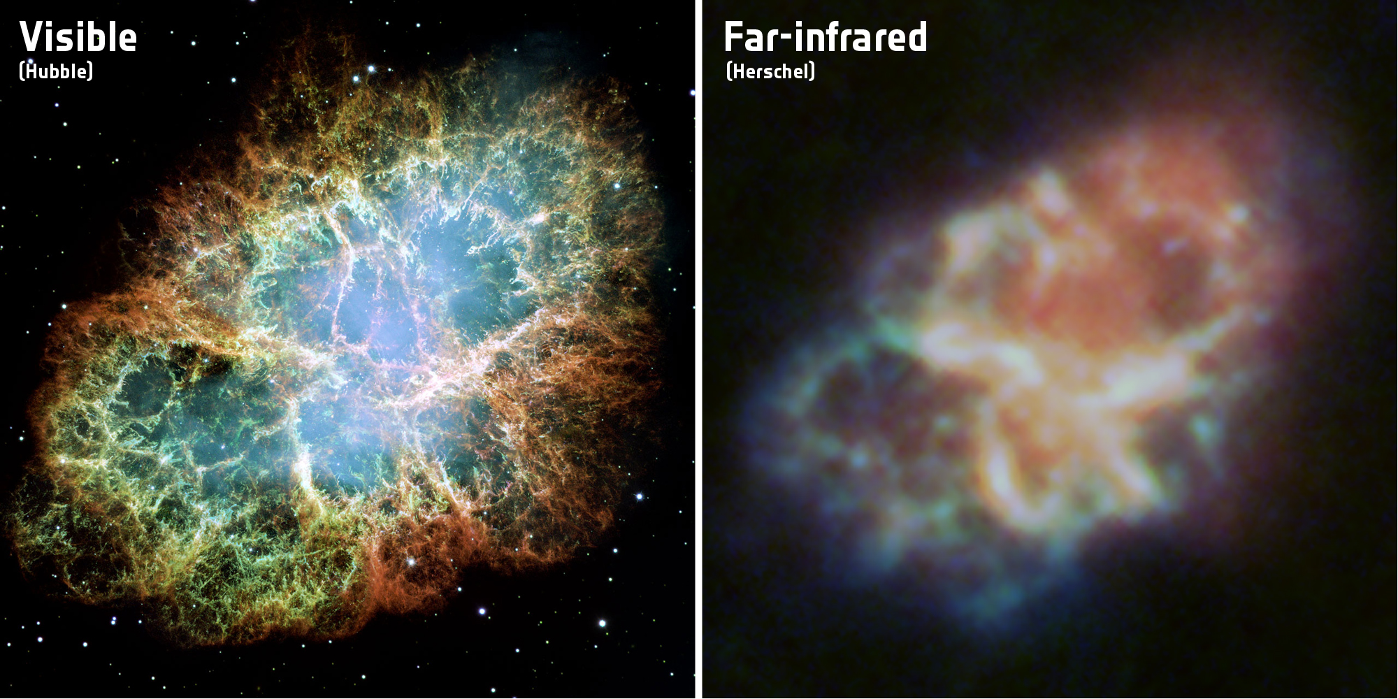 Фотография газообразной Крабовидной туманности в видимом (слева) спектре, сделанная телескопом Хаббл, и инфракрасном (справа), предоставленная обсерваторией Гершель.